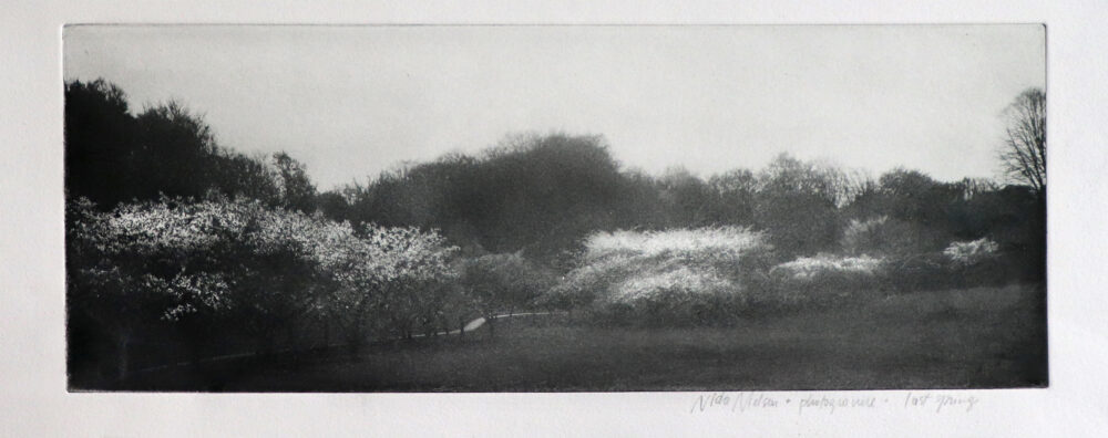Last spring • photogravure