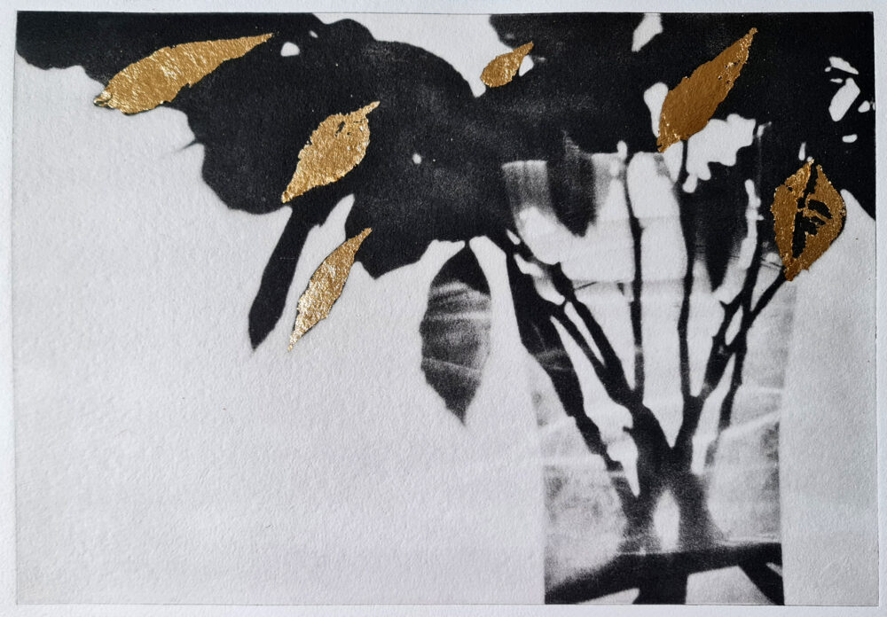 The The golden leaf • photogravure